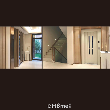 EHOME 11.0